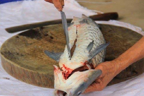 Cách kho cá trắm ngon