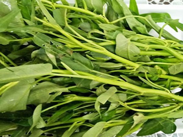 Mơ thấy rau muống điềm báo điều gì